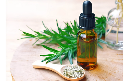 Rosemary Extract